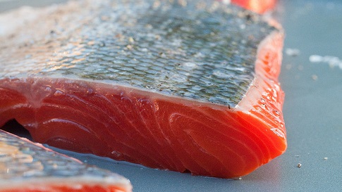 Are You Eating Toxic Fish?