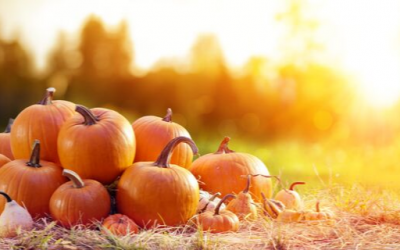 6 Reasons You Should Eat More Pumpkin