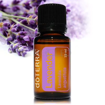 doTERRA Lavender Essential Oil | GroovyBeets.com