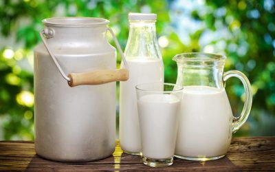 The Connection Between Cow’s Milk & Cancer