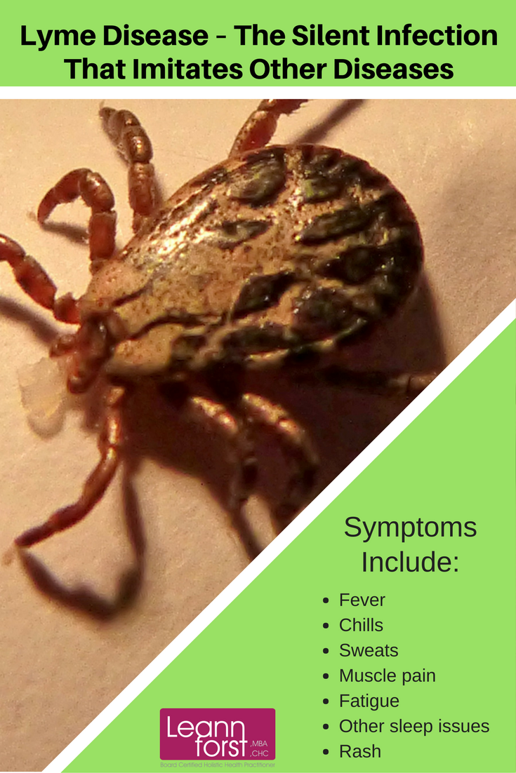 Lyme Disease | GroovyBeets.com