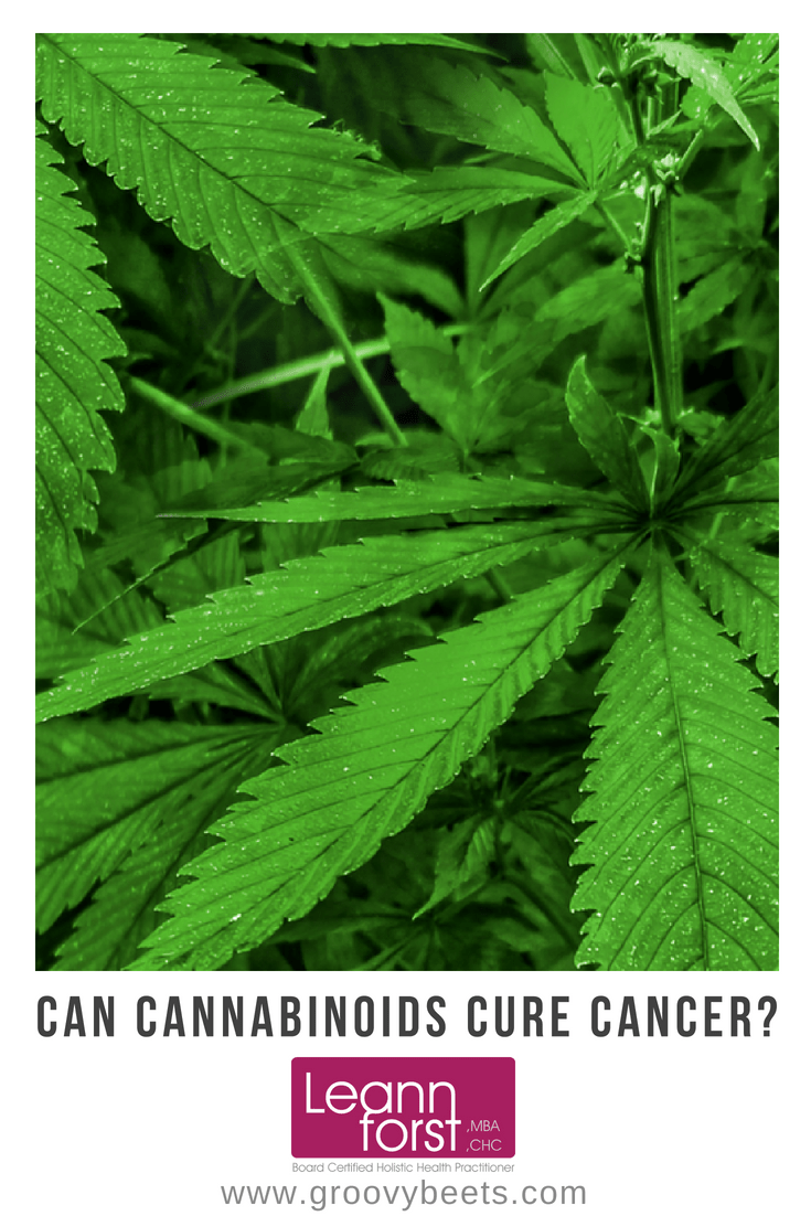 Can Cannabinoids Cure Cancer? | GroovyBeets.com