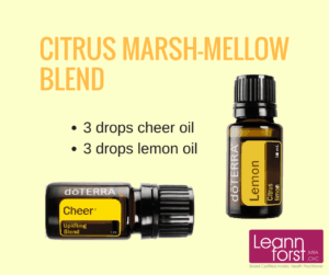 Citrus Marsh-Mellow Diffuser Blend | GroovyBeets.com
