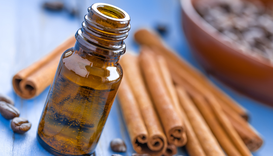Benefits of Cinnamon Essential Oil | LeannForst.com