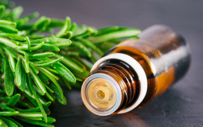 6 Benefits of Rosemary Essential Oil
