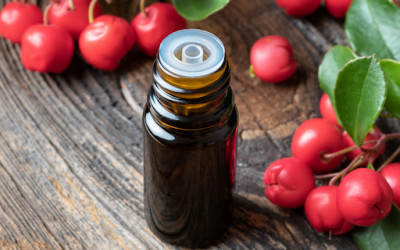 Benefits of Wintergreen Essential Oil